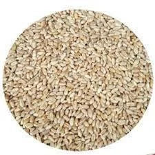 JOA HALEEM SABUT 250GRAM